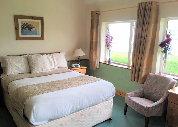 O'connor's 丁格尔